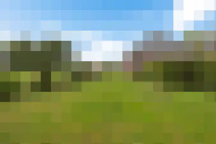Smidswei 68 Drachtstercompagnie thumbnail 39