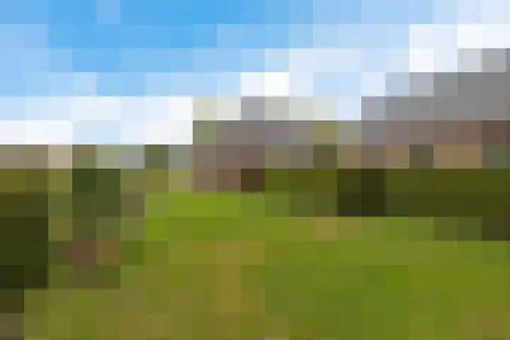 Smidswei 68 Drachtstercompagnie thumbnail 40
