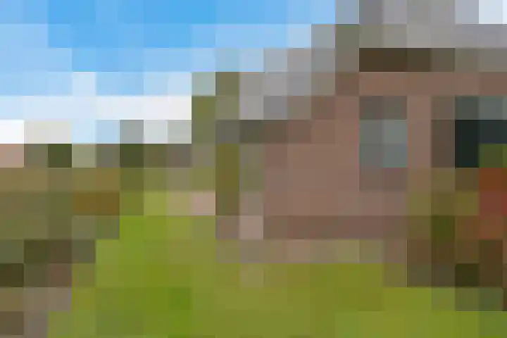 Smidswei 68 Drachtstercompagnie thumbnail 41