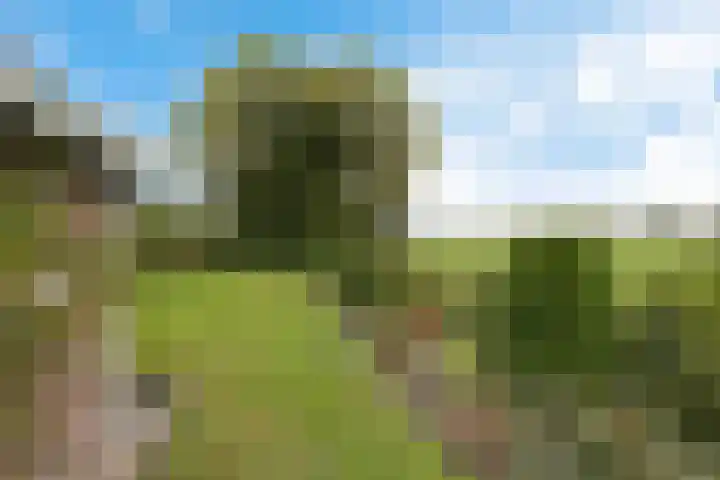 Smidswei 68 Drachtstercompagnie thumbnail 42