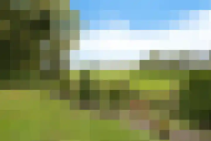 Smidswei 68 Drachtstercompagnie thumbnail 43