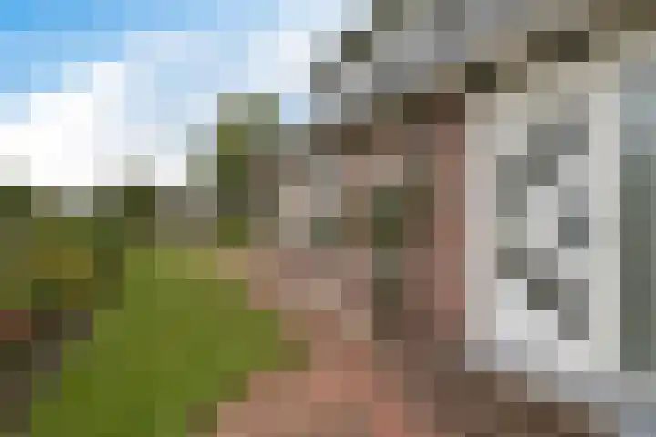 Smidswei 68 Drachtstercompagnie thumbnail 44
