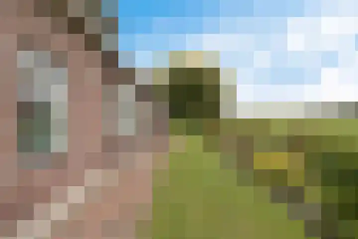 Smidswei 68 Drachtstercompagnie thumbnail 45