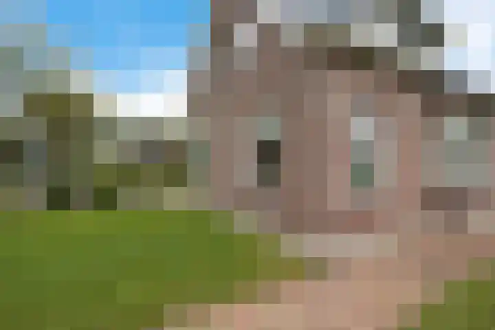 Smidswei 68 Drachtstercompagnie thumbnail 46