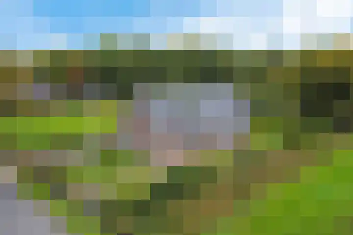 Smidswei 68 Drachtstercompagnie thumbnail 47