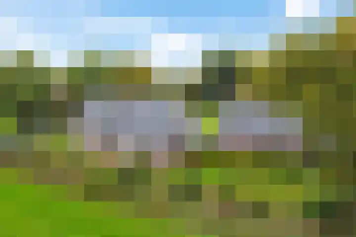 Smidswei 68 Drachtstercompagnie thumbnail 48