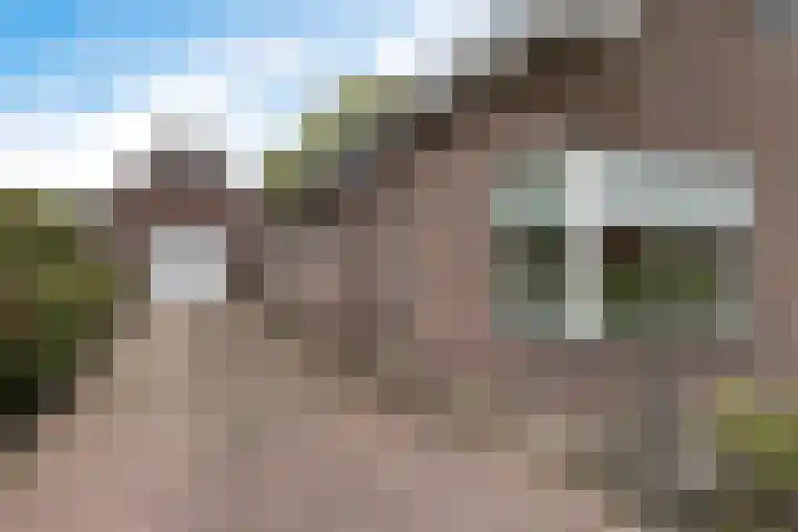 Smidswei 68 Drachtstercompagnie thumbnail 8