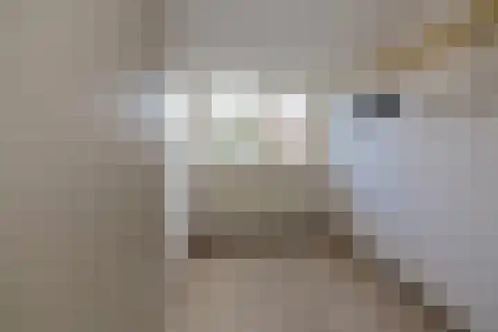 Smidt van Gelderstraat 43 Velsen-Noord thumbnail 20