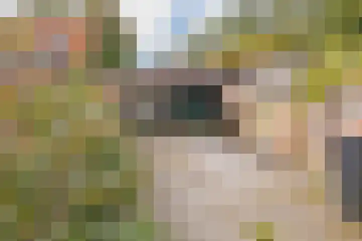 Smidt van Gelderstraat 43 Velsen-Noord thumbnail 9