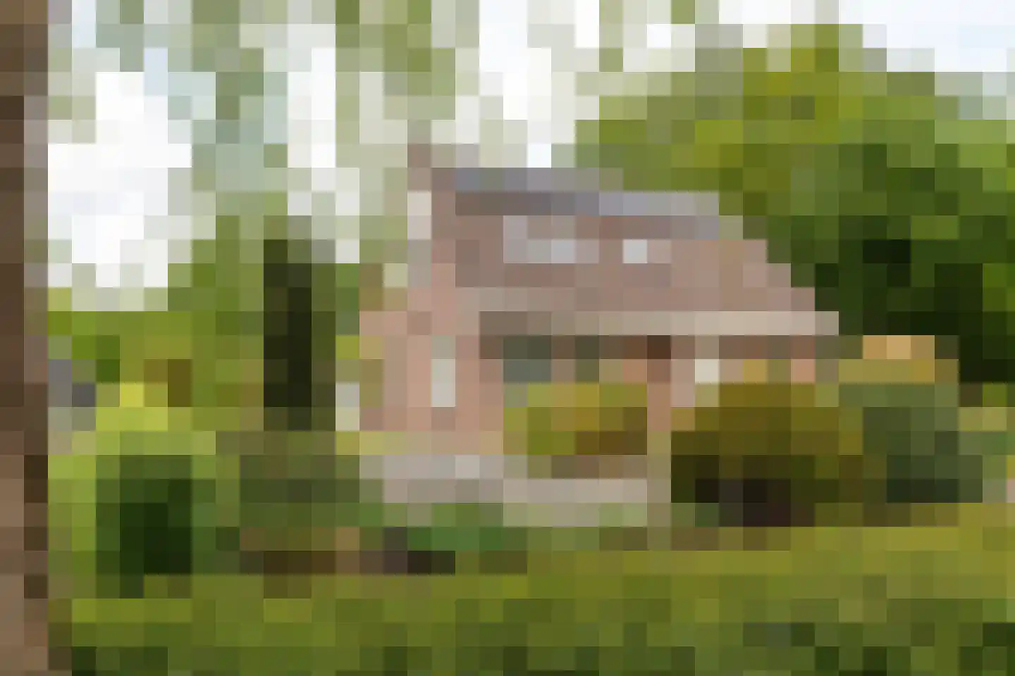 Smidte 62 Terwispel