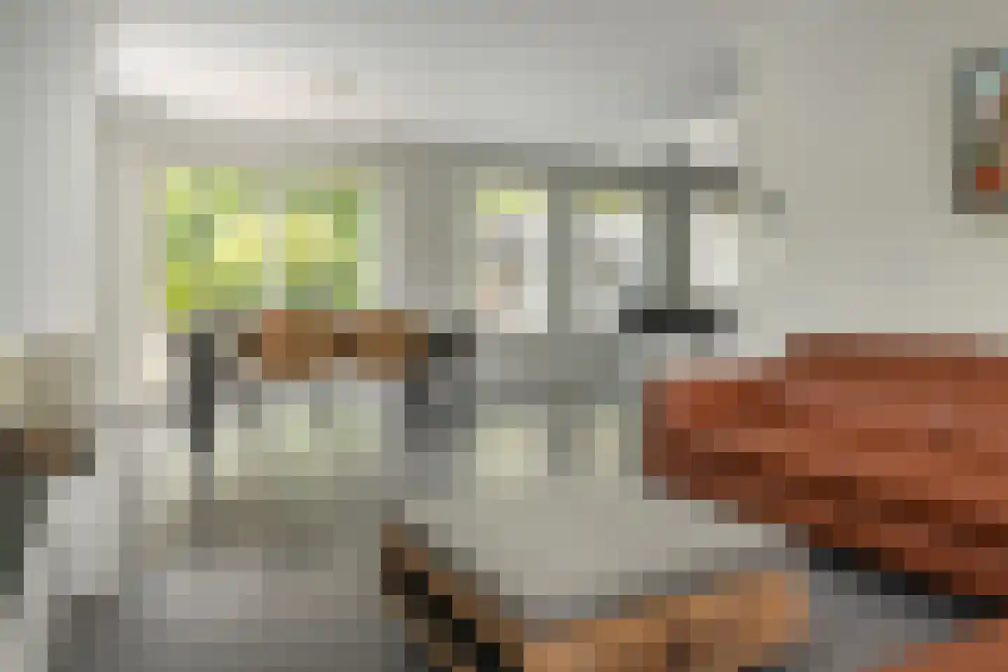 Smidte 62 Terwispel thumbnail 11