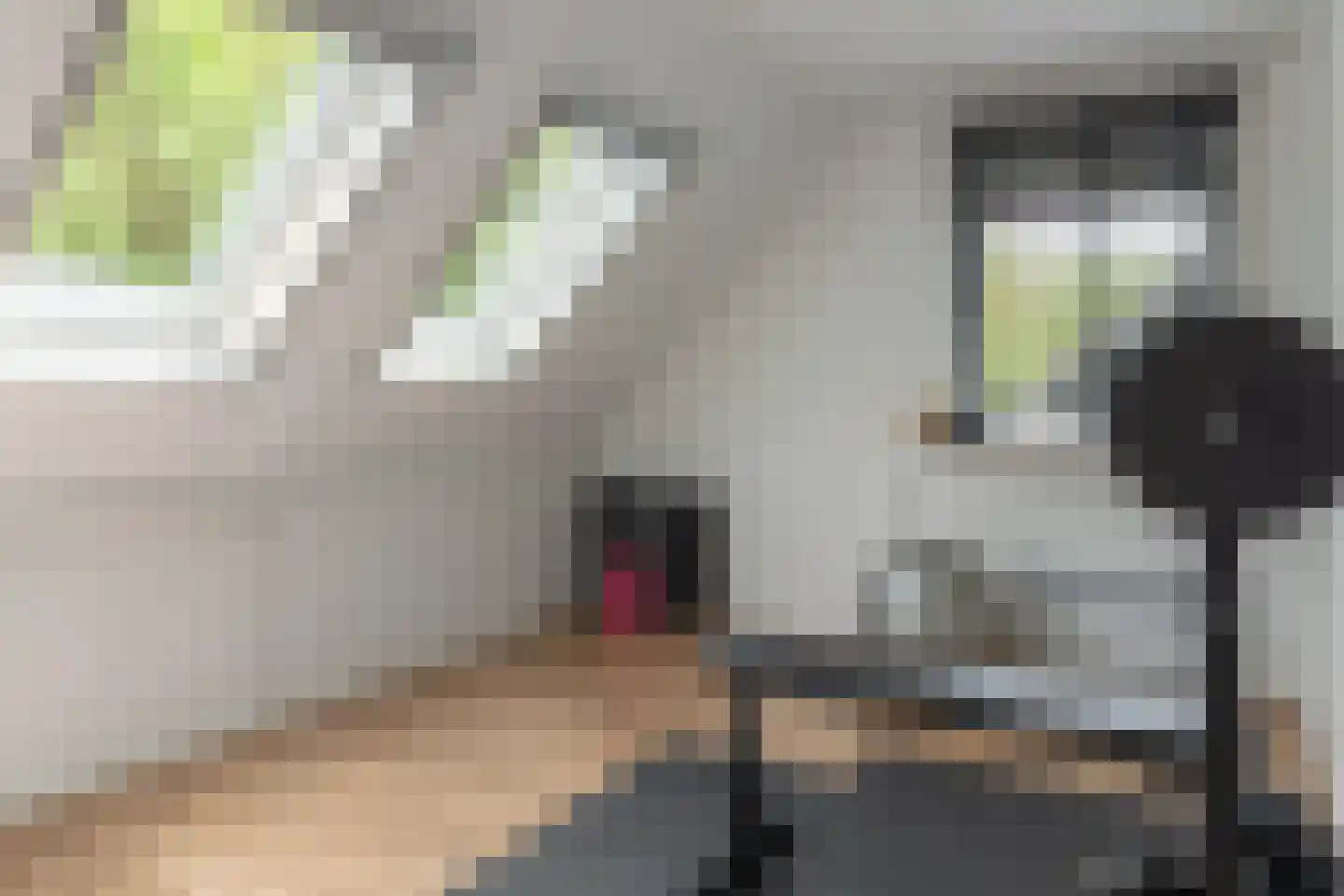 Smidte 62 Terwispel thumbnail 28