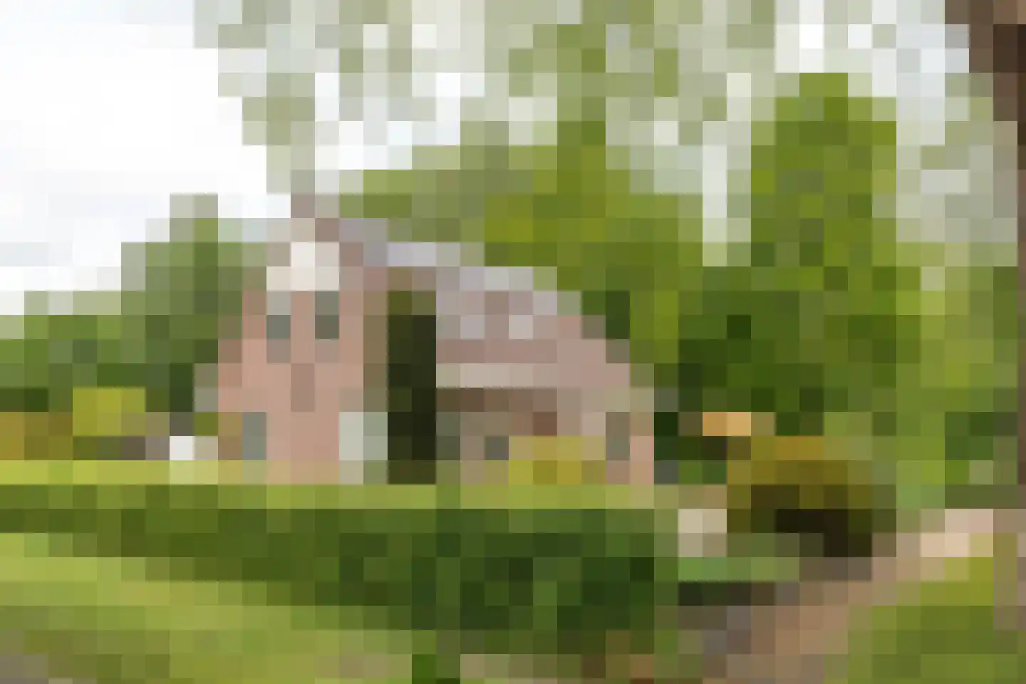 Smidte 62 Terwispel thumbnail 30