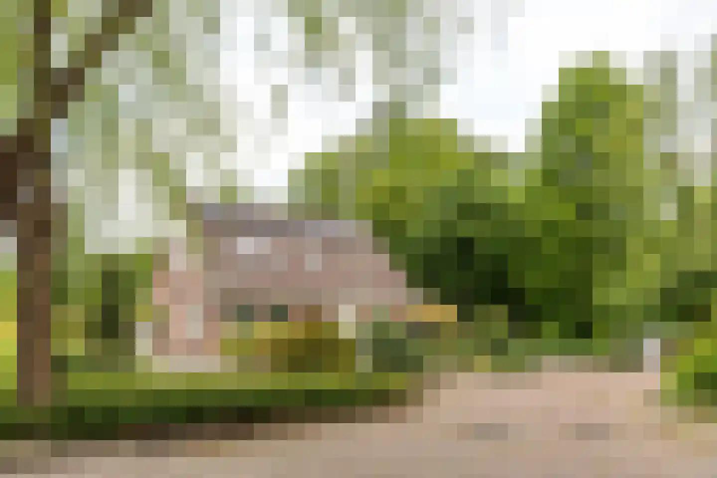 Smidte 62 Terwispel thumbnail 31