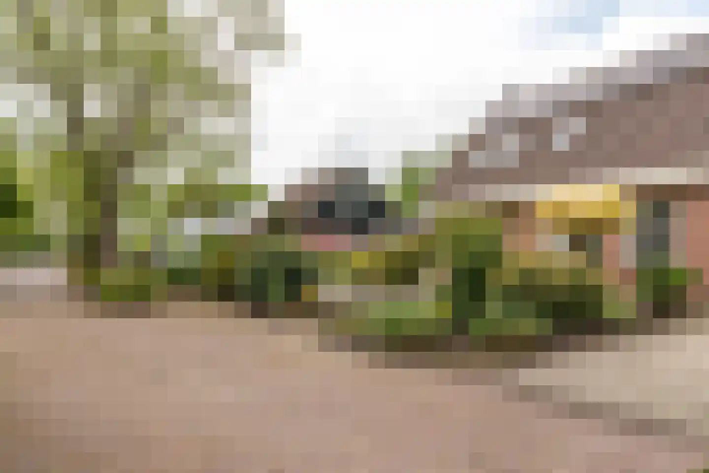 Smidte 62 Terwispel thumbnail 34