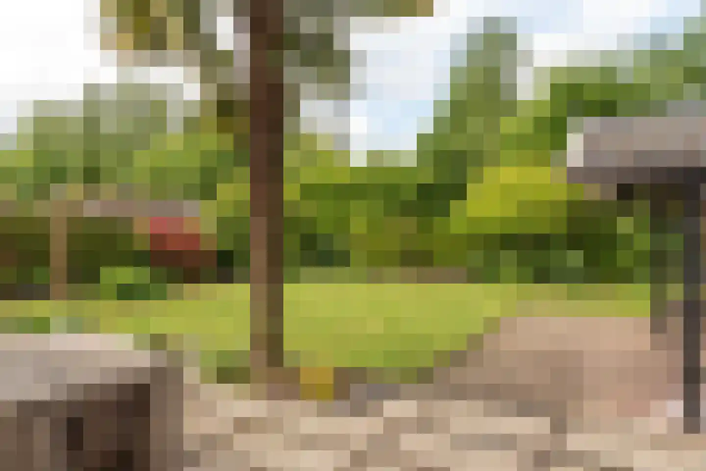 Smidte 62 Terwispel thumbnail 35