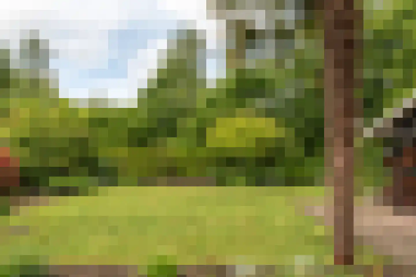 Smidte 62 Terwispel thumbnail 36