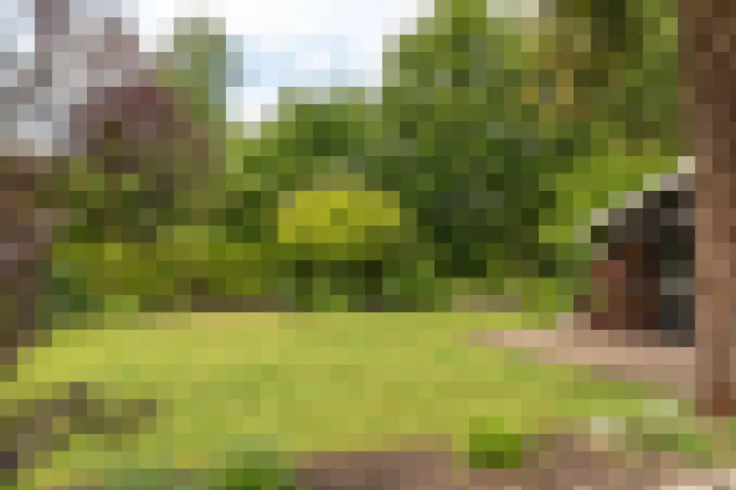 Smidte 62 Terwispel thumbnail 37