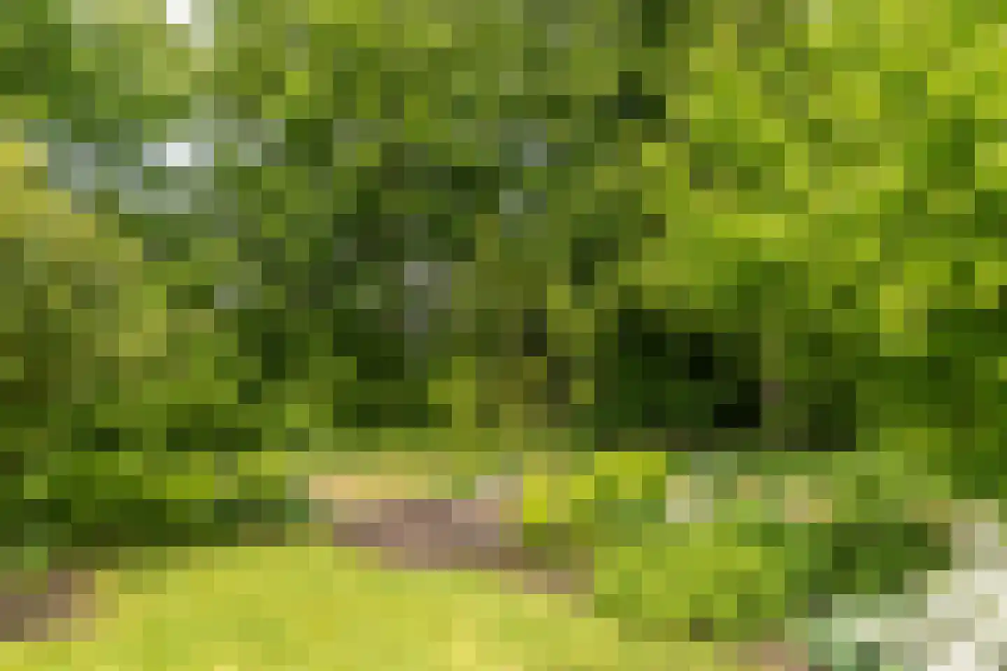 Smidte 62 Terwispel thumbnail 38