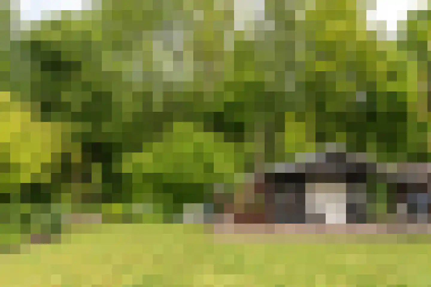 Smidte 62 Terwispel thumbnail 41
