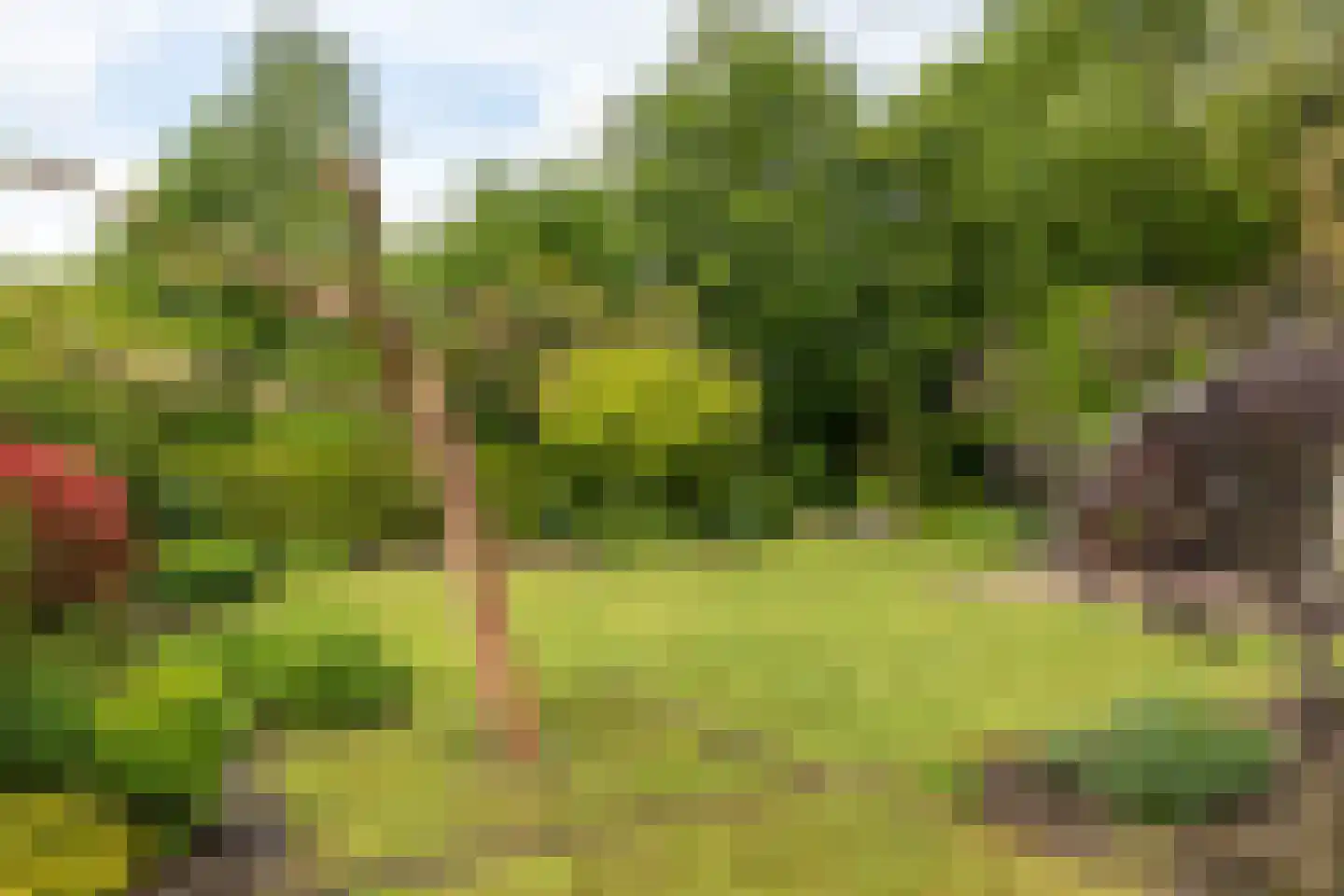 Smidte 62 Terwispel thumbnail 43