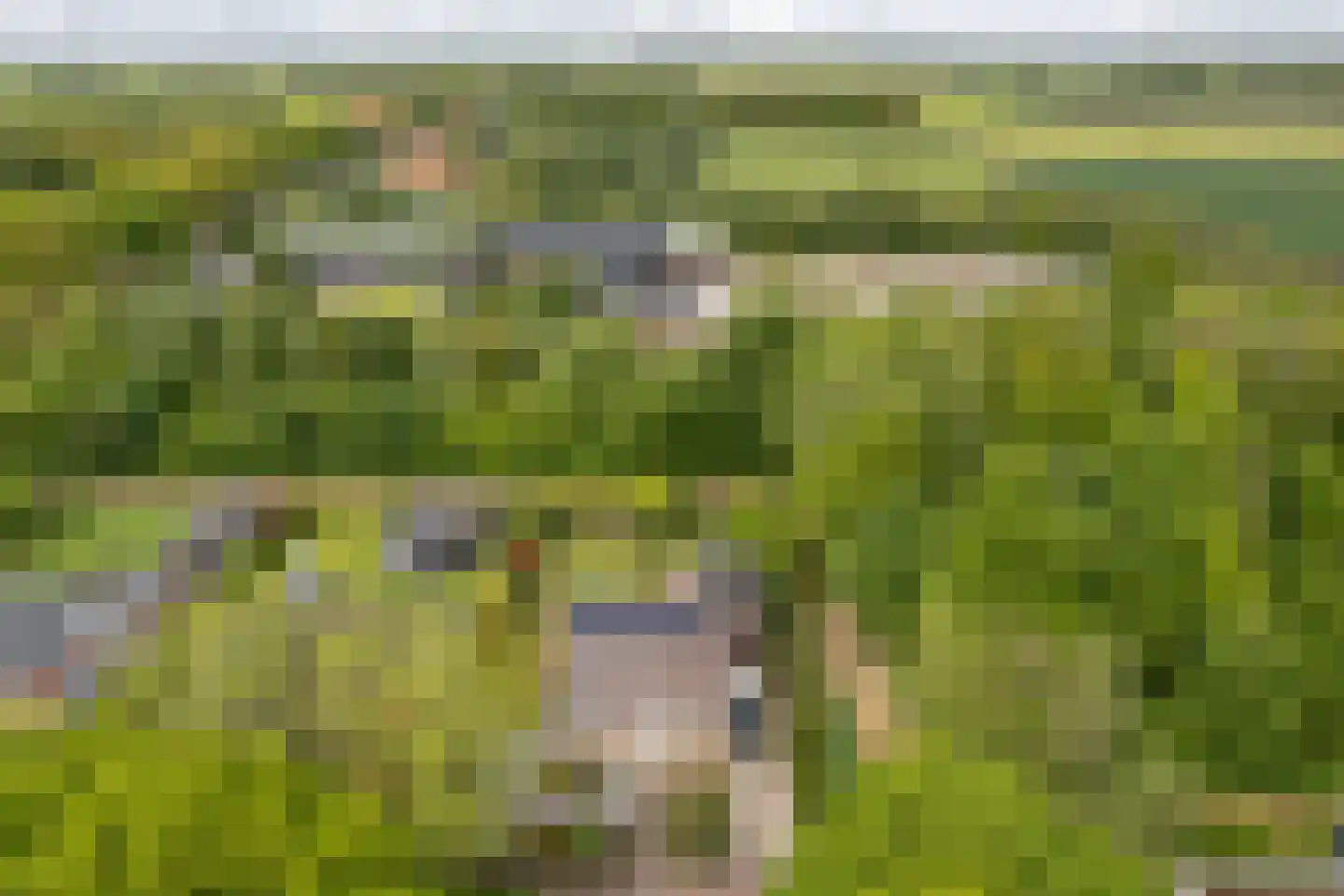 Smidte 62 Terwispel thumbnail 47
