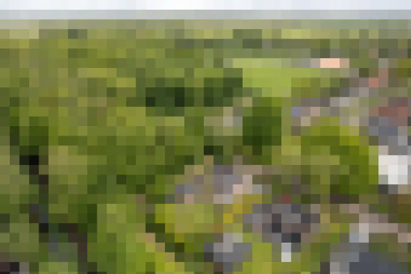 Smidte 62 Terwispel thumbnail 48