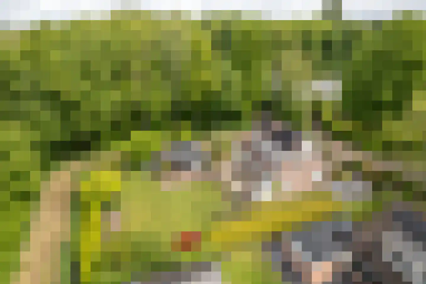 Smidte 62 Terwispel thumbnail 49