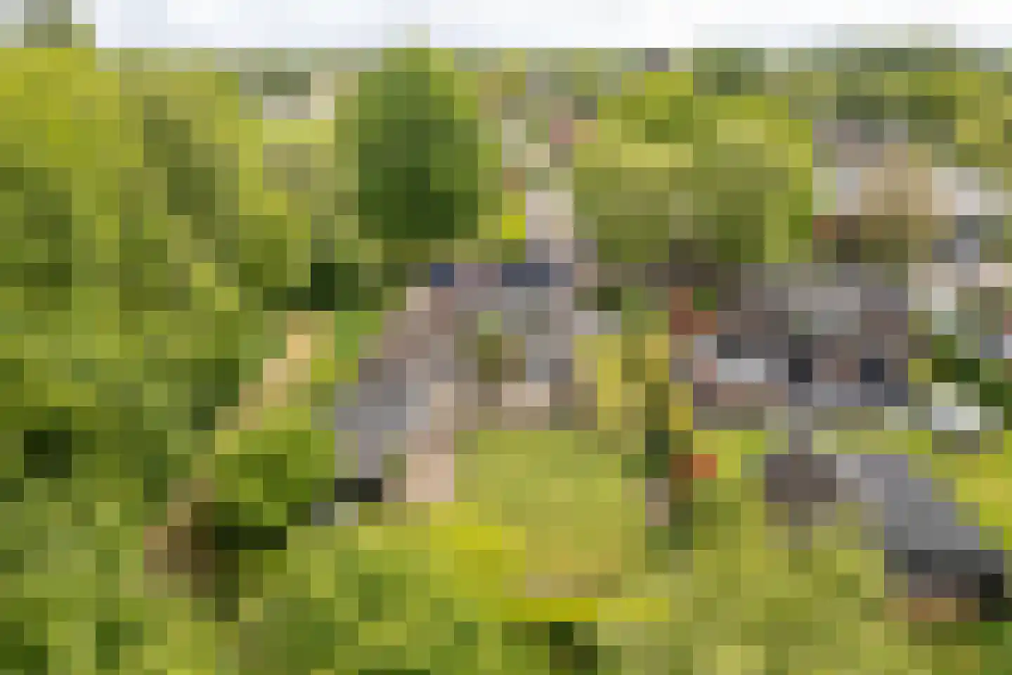 Smidte 62 Terwispel thumbnail 51