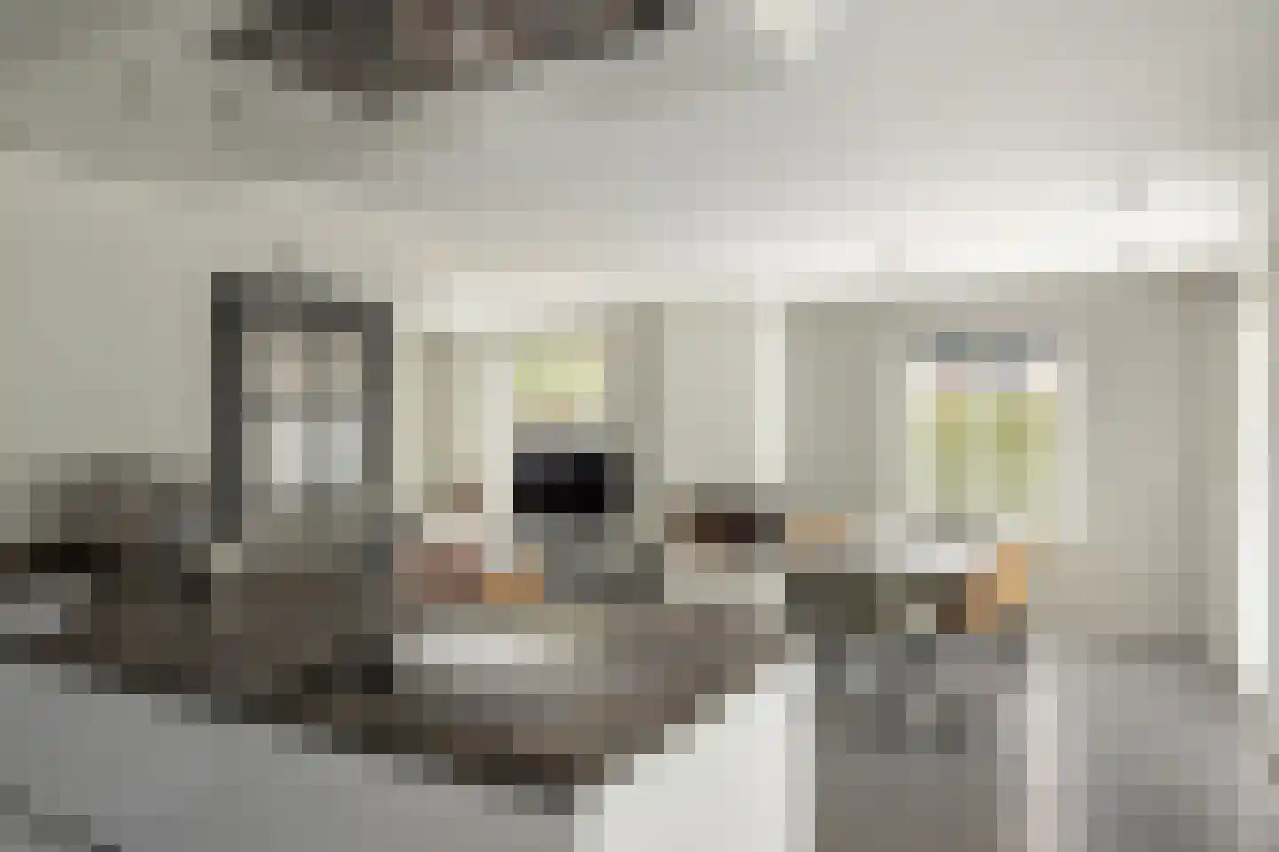 Smidte 62 Terwispel thumbnail 7