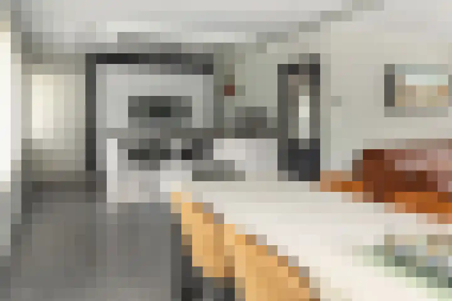Smidte 62 Terwispel thumbnail 8