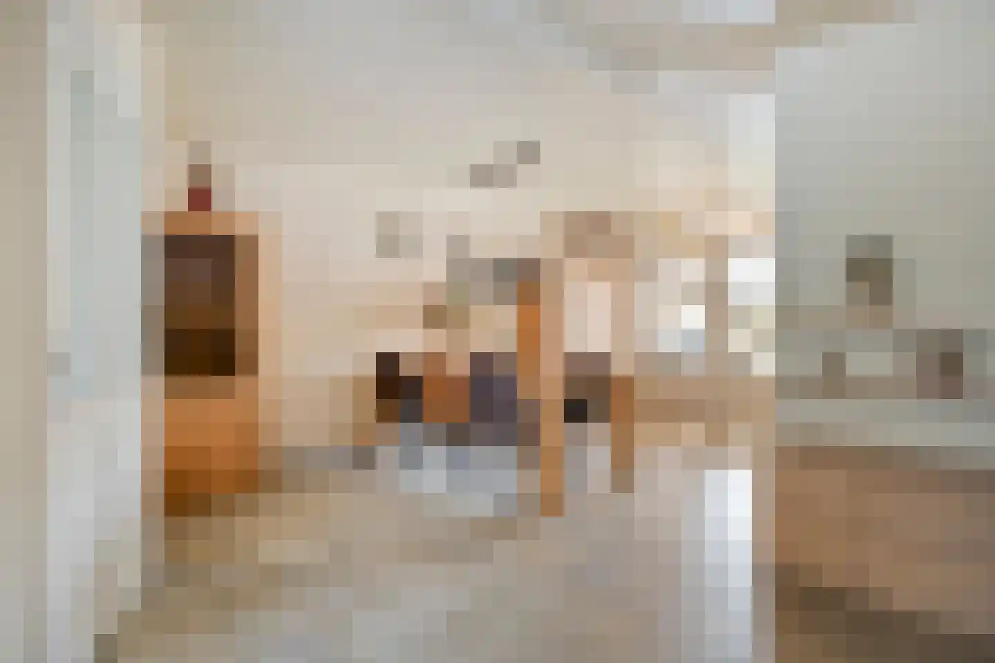 Smient 15 Geldrop thumbnail 11