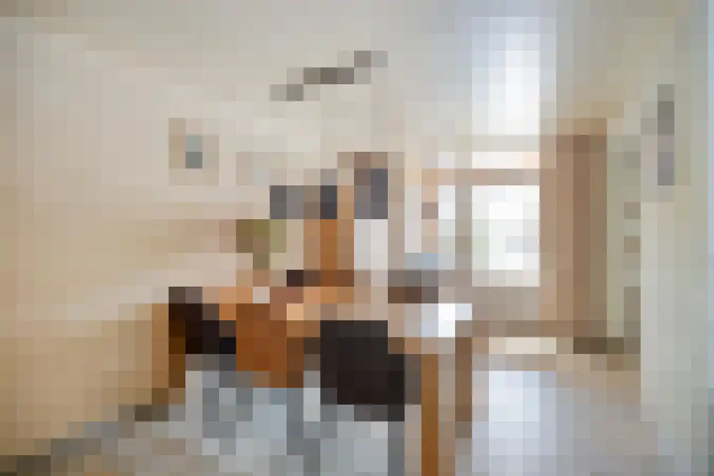Smient 15 Geldrop thumbnail 12