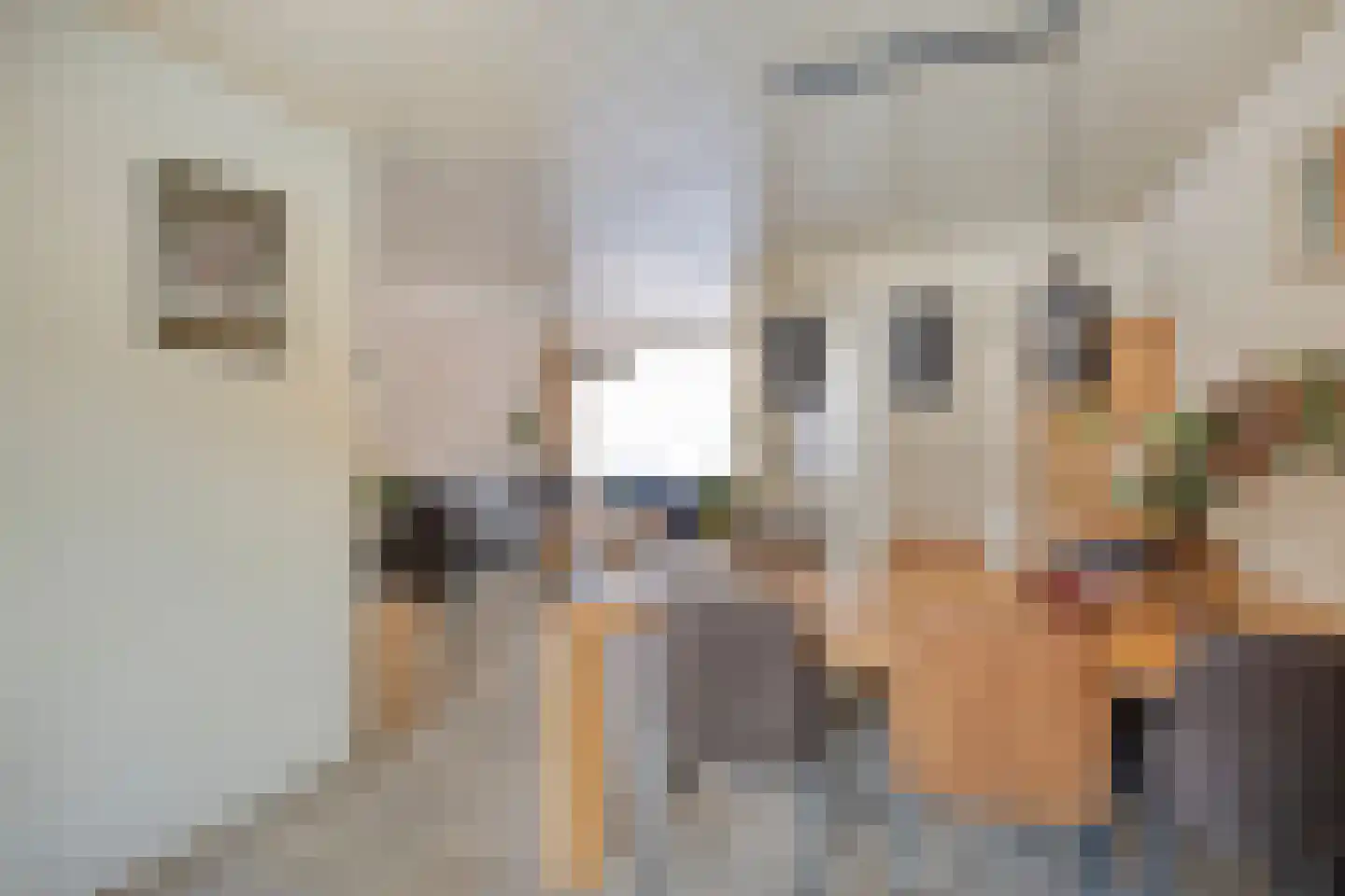 Smient 15 Geldrop thumbnail 14