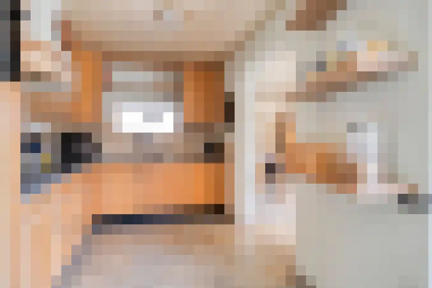 Smient 15 Geldrop thumbnail 17