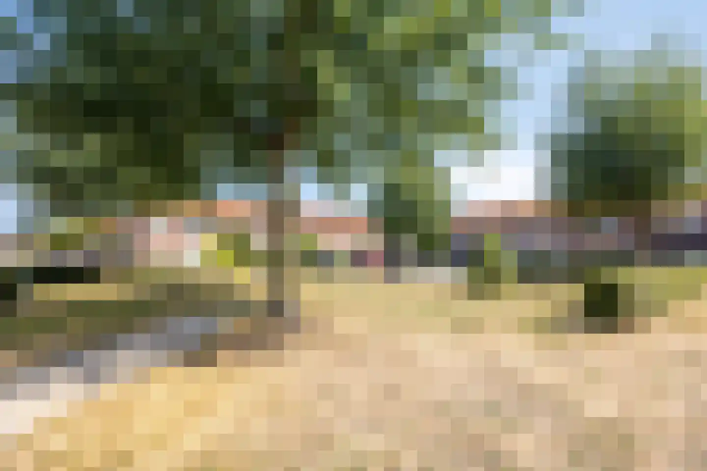 Smient 15 Geldrop foto 2