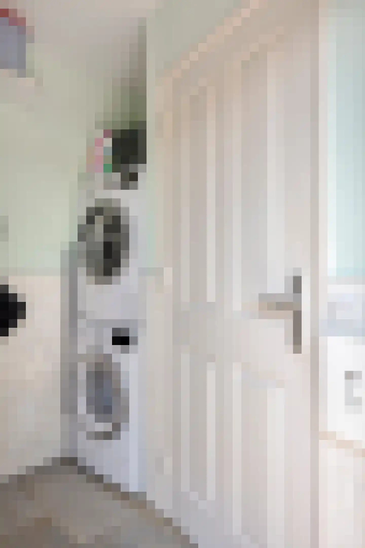 Smient 15 Geldrop thumbnail 22