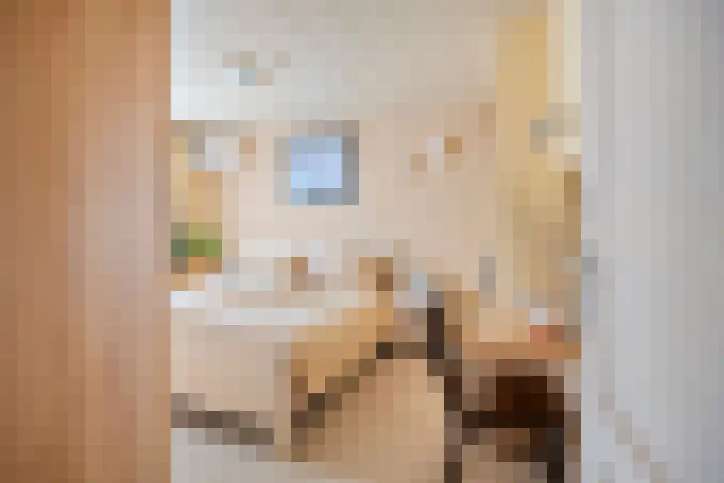 Smient 15 Geldrop thumbnail 26
