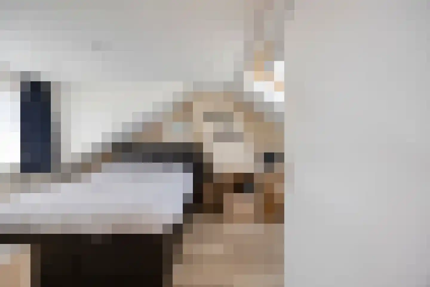 Smient 15 Geldrop thumbnail 36
