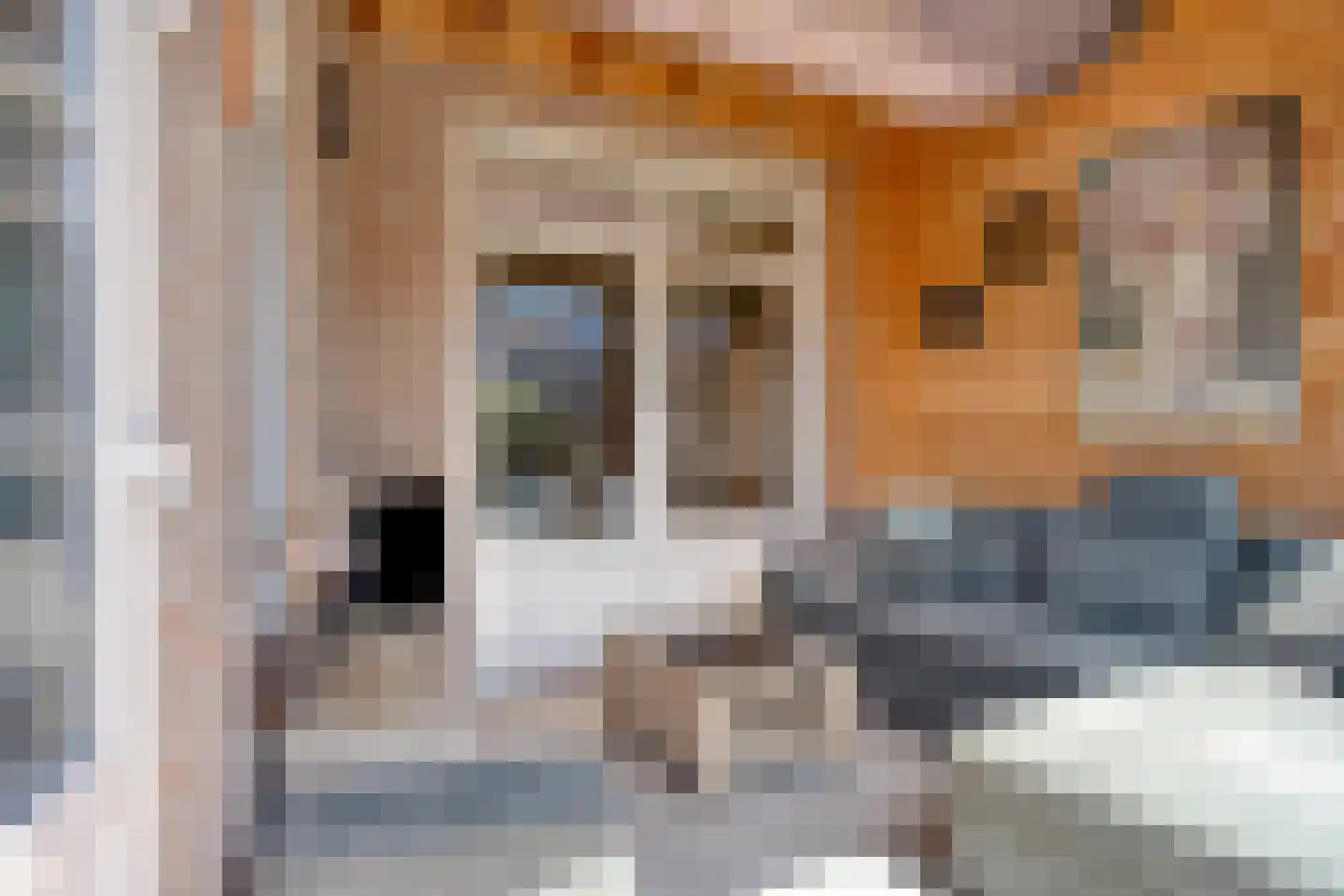 Smient 15 Geldrop thumbnail 38