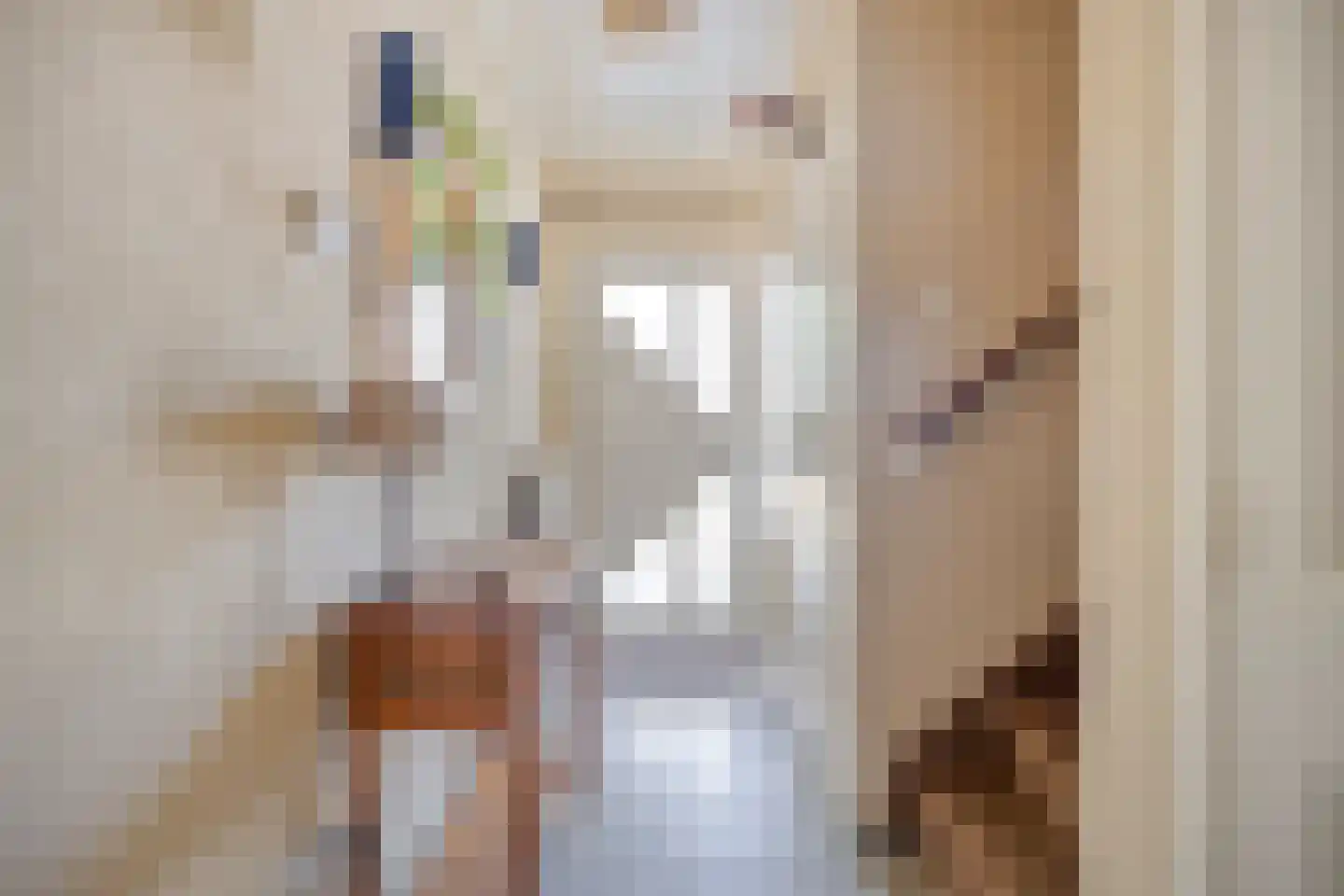 Smient 15 Geldrop thumbnail 4