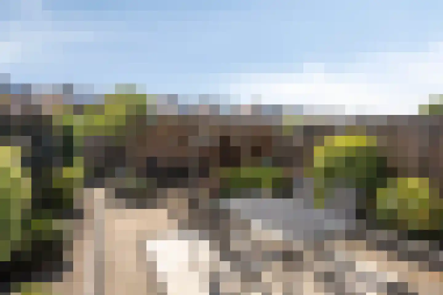 Smient 15 Geldrop thumbnail 40