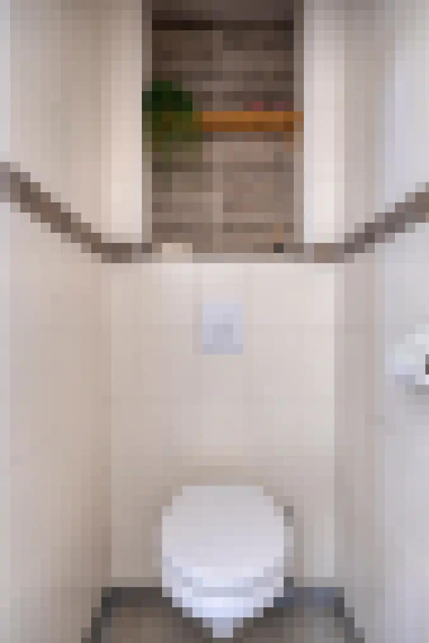 Smient 15 Geldrop thumbnail 6