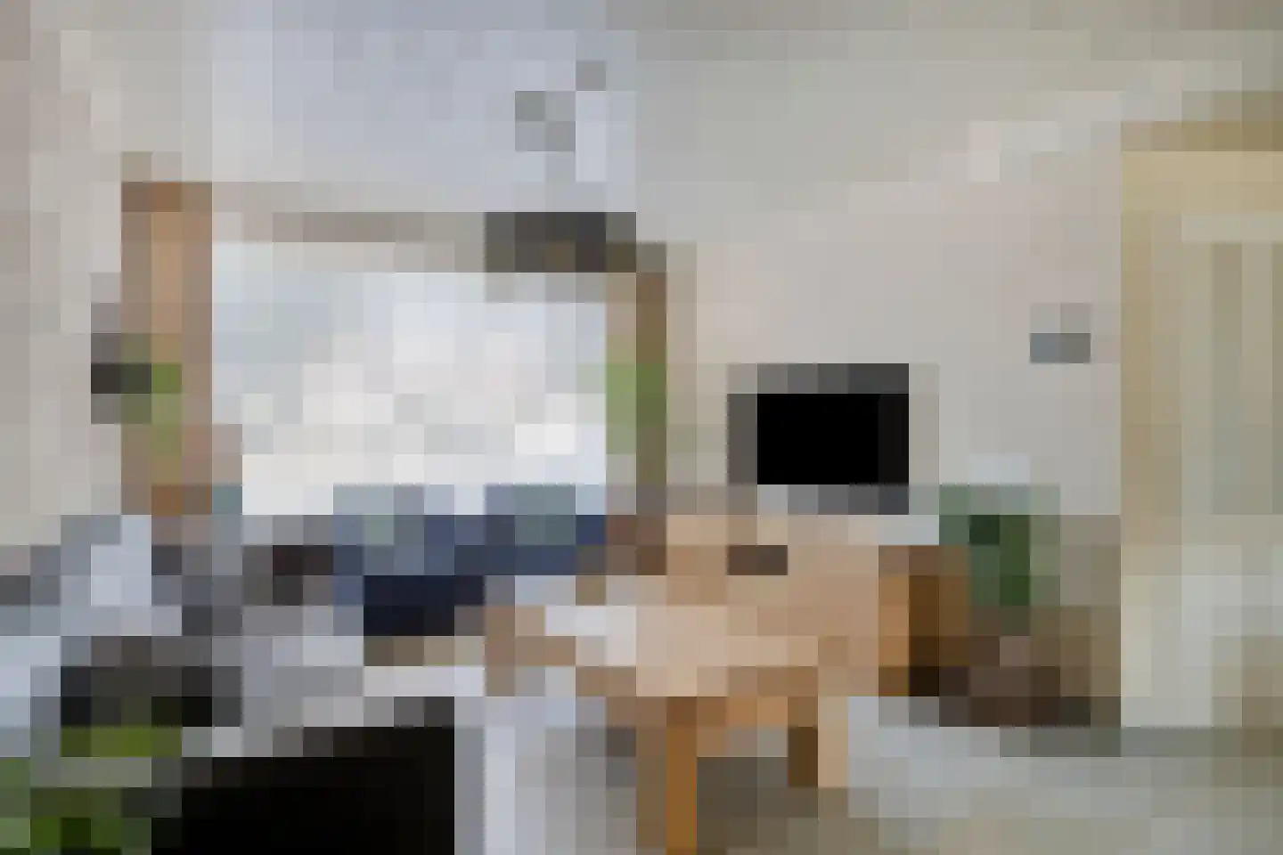Smient 15 Geldrop thumbnail 8