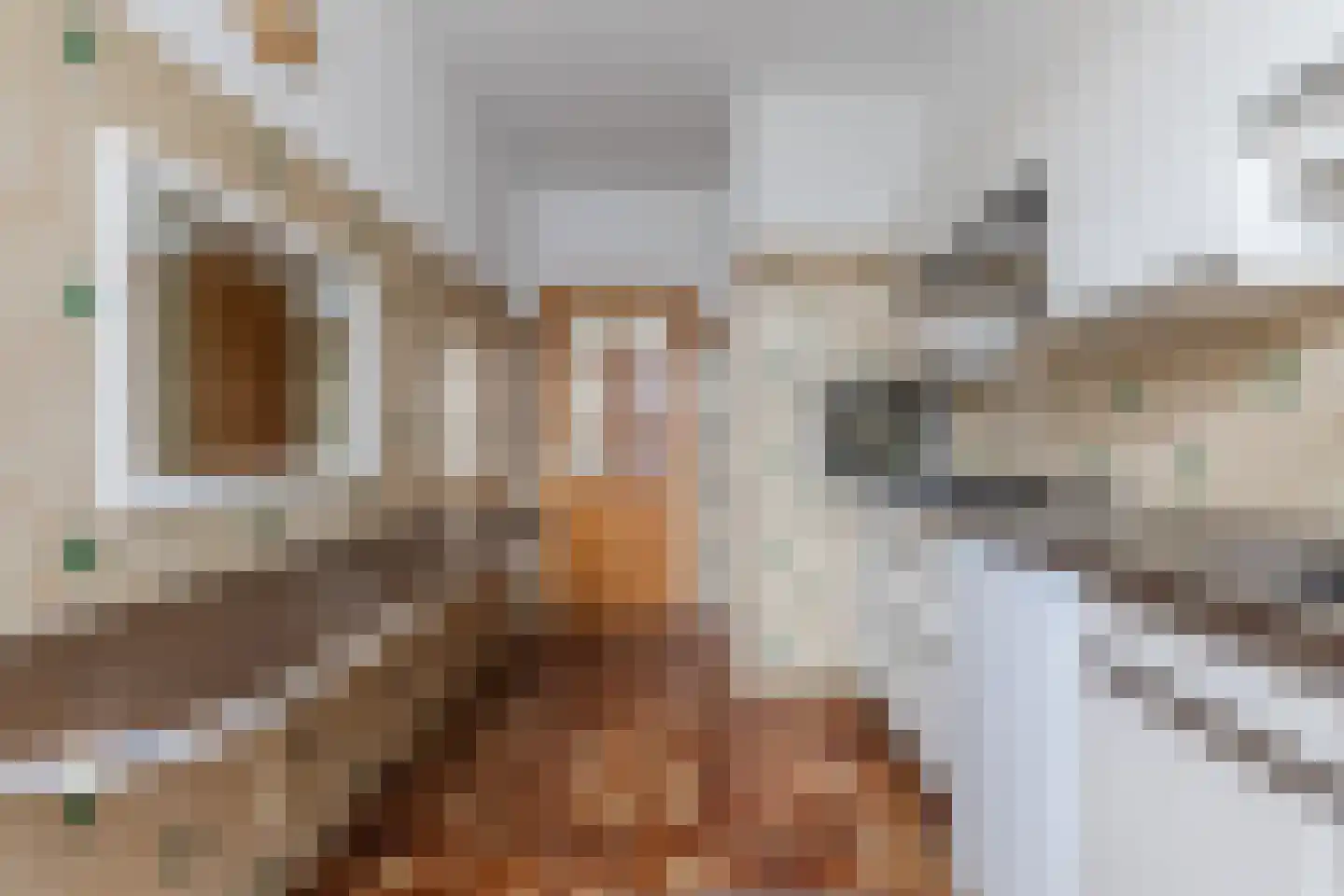 Smient 16 Geldrop thumbnail 10