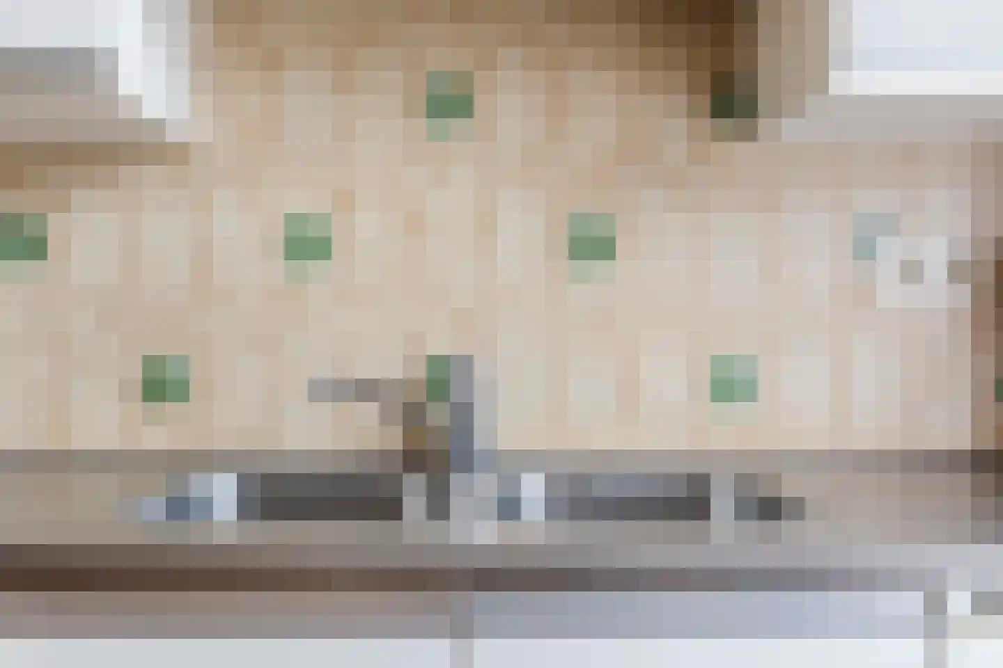 Smient 16 Geldrop thumbnail 12