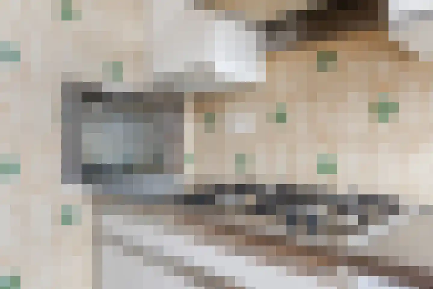 Smient 16 Geldrop thumbnail 13