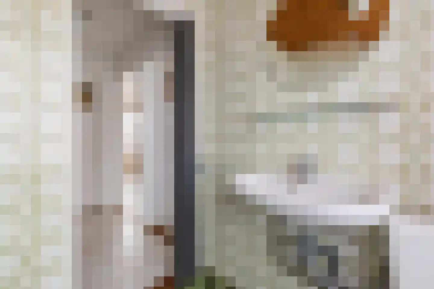 Smient 16 Geldrop thumbnail 27