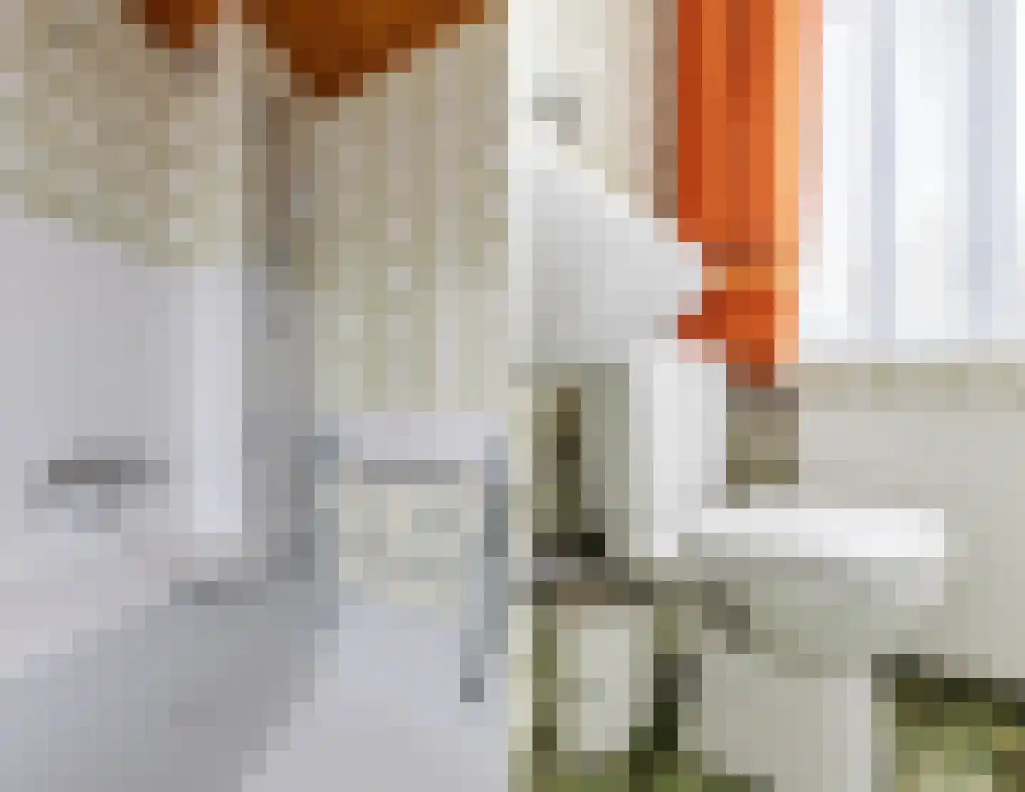 Smient 16 Geldrop thumbnail 28
