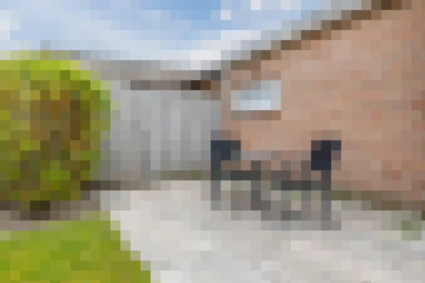 Smient 16 Geldrop thumbnail 39